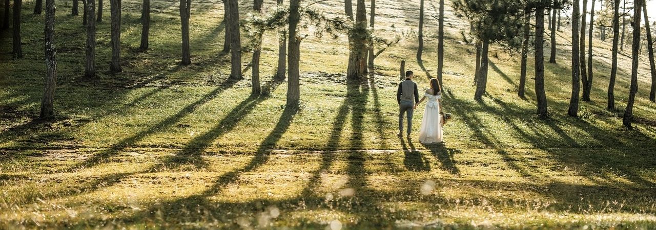 Младоженци в гората, хванати за ръка