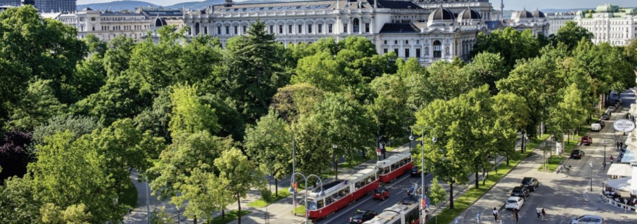 Grad Beč je poznat kao metropola drveća, sa preko 500.000 stabala na javnim površinama